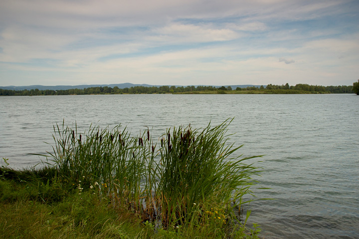 Chomoutovské jezero